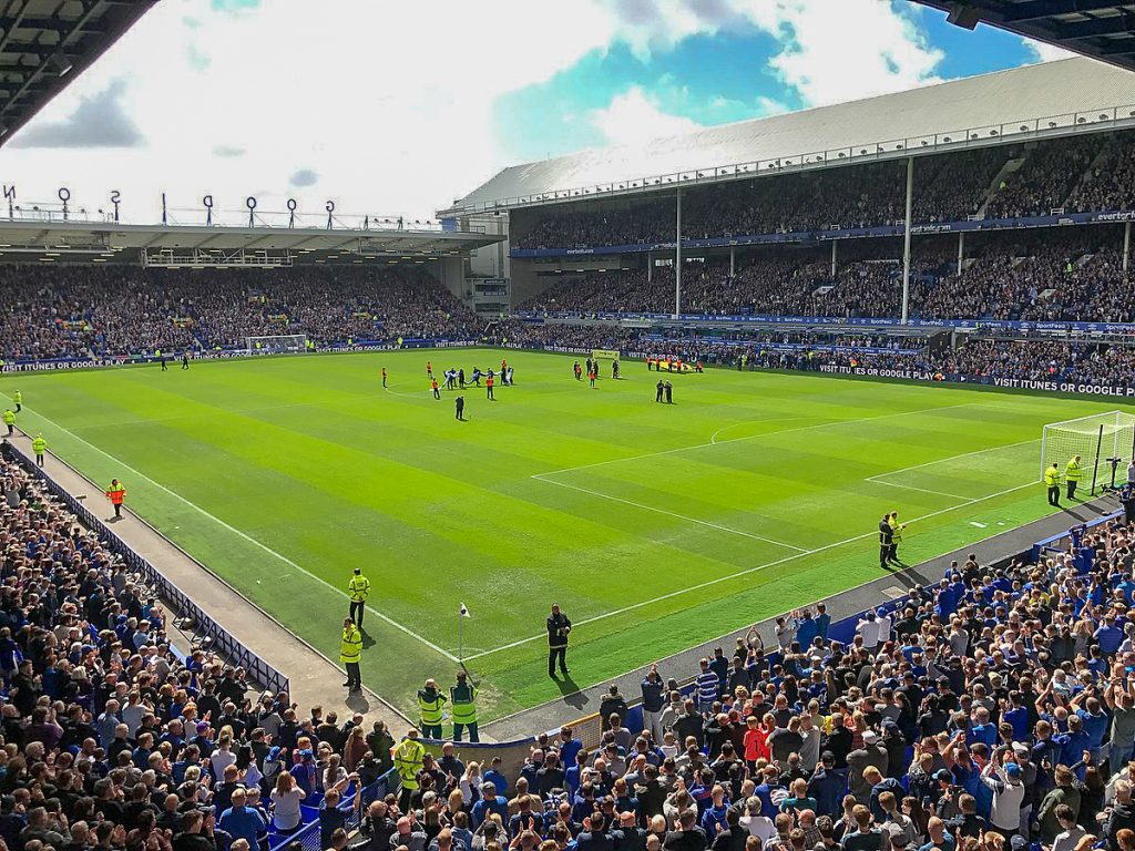 The Old Lady - Goodison Park